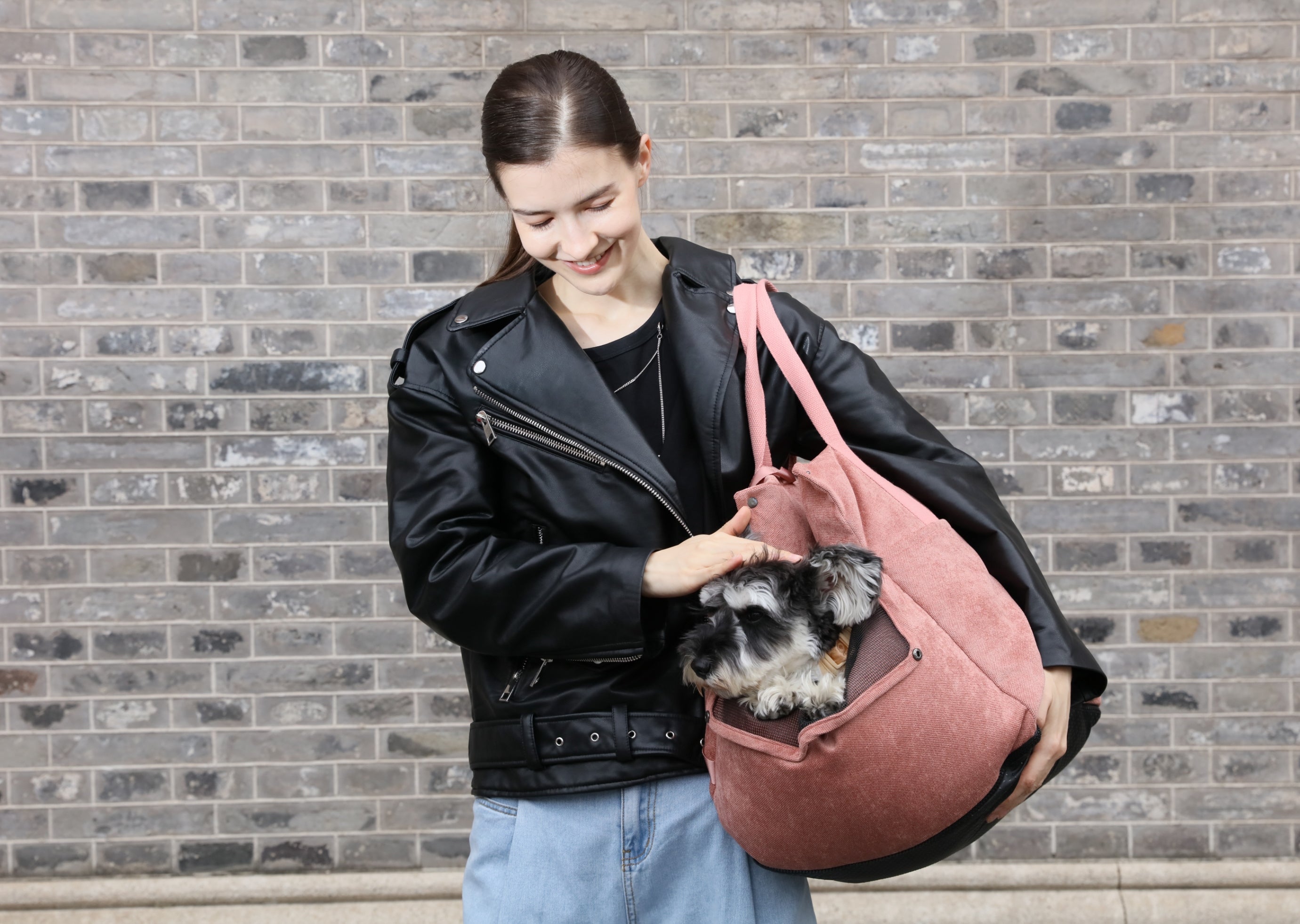 Siège auto pour chien Puff Guard - Rose