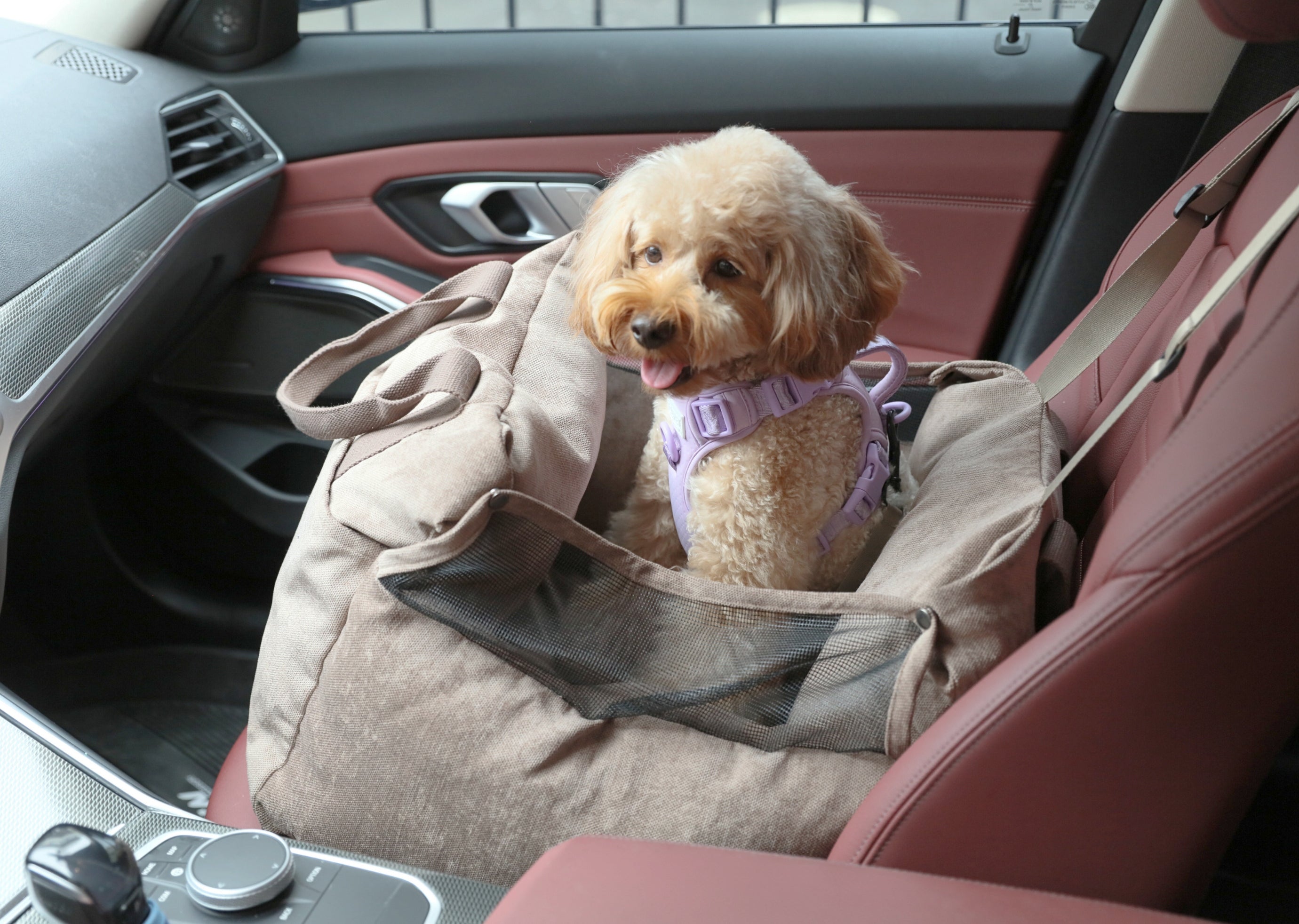 Siège auto pour chien Puff Guard - Rose