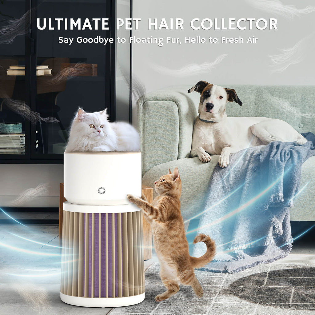 Purificateur d'air pour animaux de compagnie Glory Days AGH400