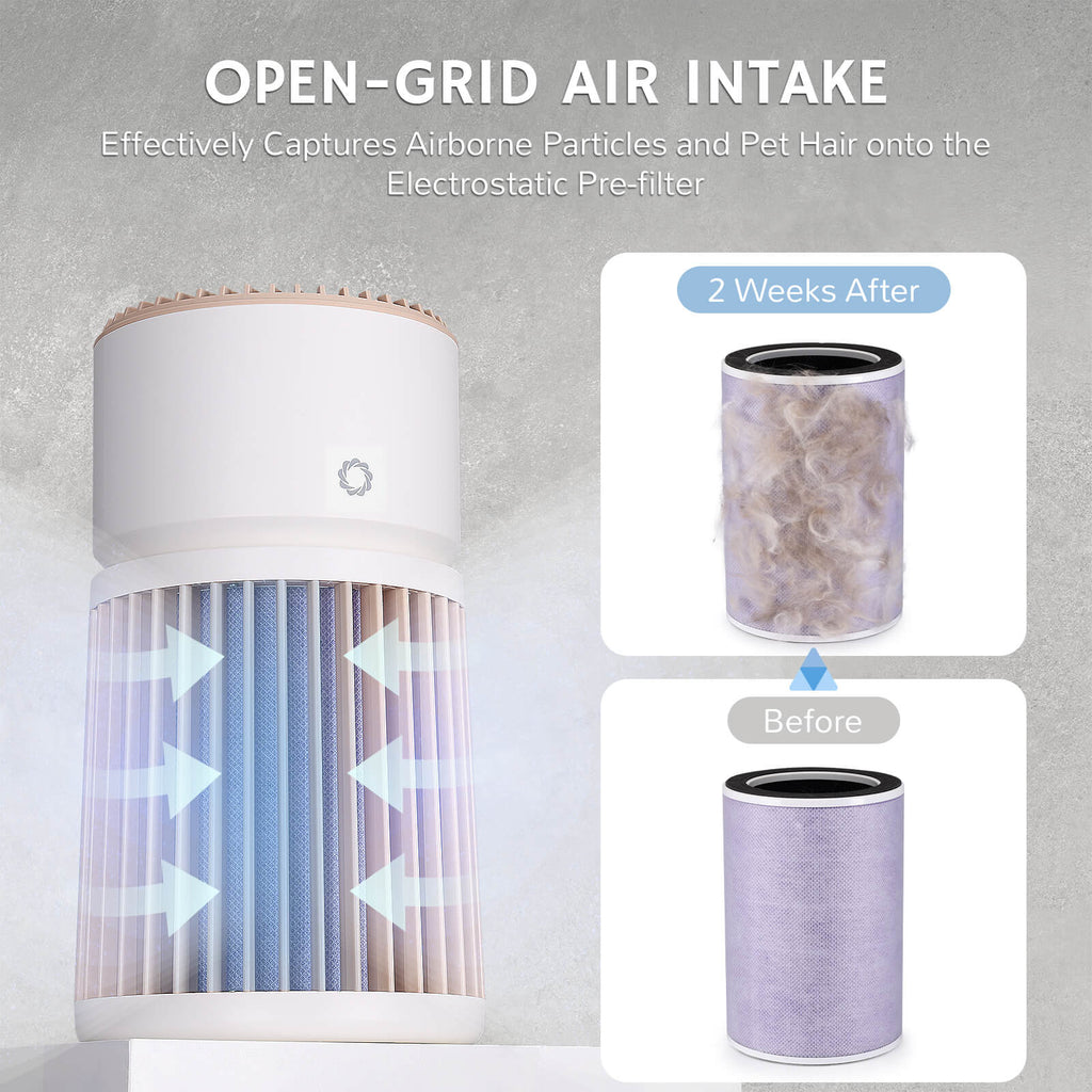 Purificateur d'air pour animaux de compagnie Glory Days AGH400