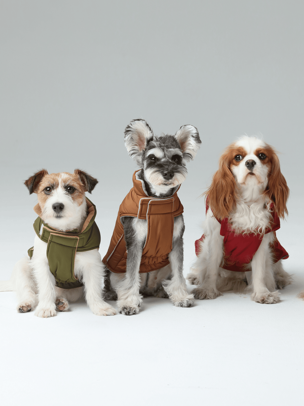 Gilet réversible pour chien - Orange Gris