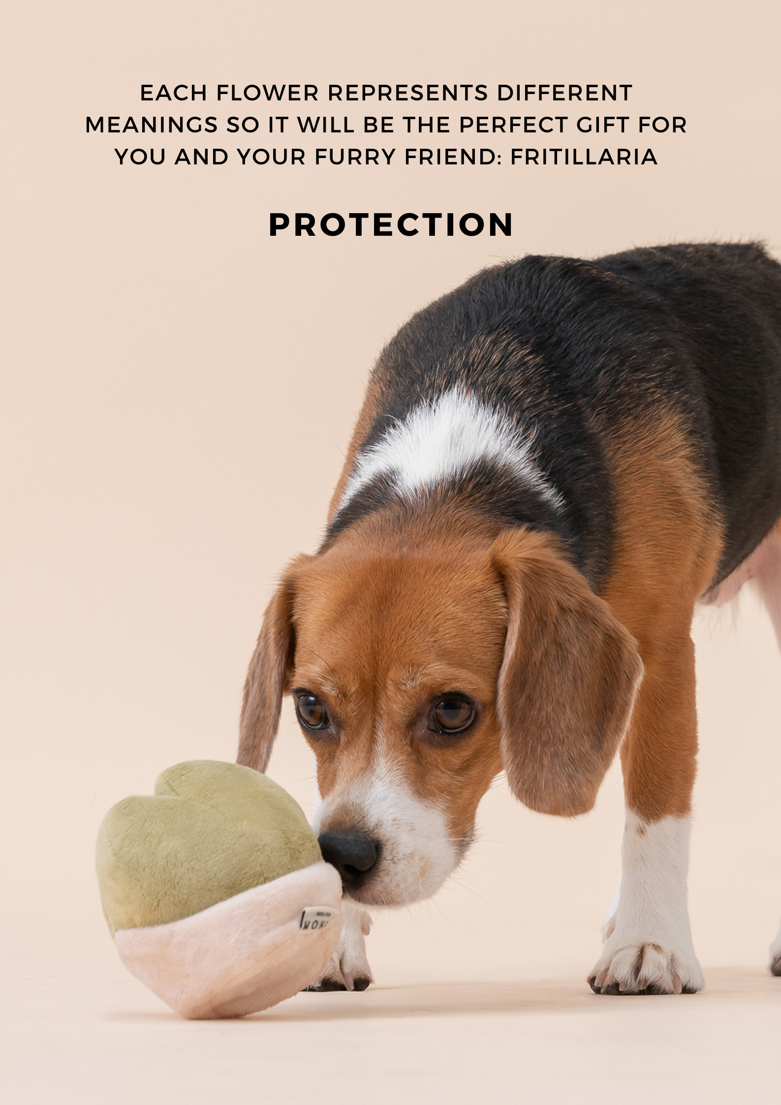 PARADISE PET TOY - Fritillaria
