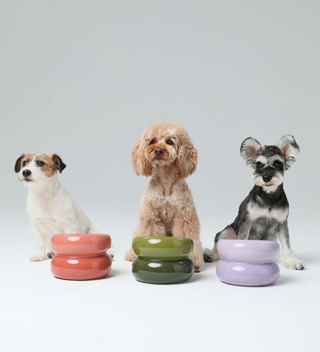 Gamelle Soufflée pour Animaux de Compagnie - Violette