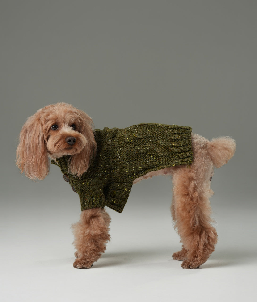 GLACIER PET SWEATER - OLIVE GREEN