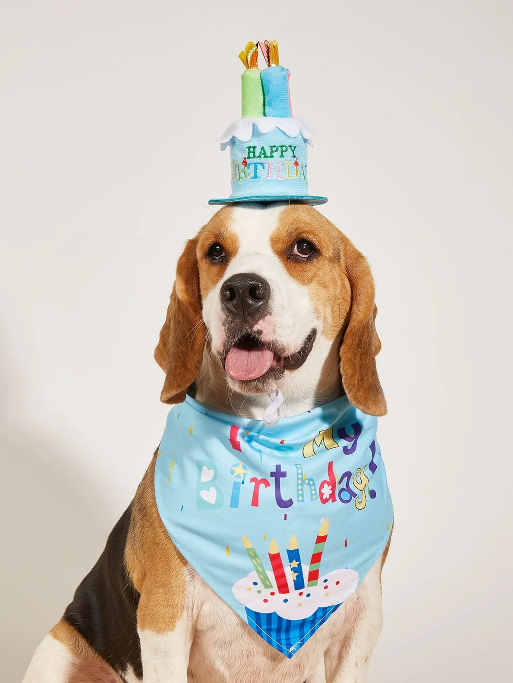 Décoration d'anniversaire pour chien, chapeaux de costume de chien, nœuds, bandana, bavoirs, banderoles, accessoires de fête pour chats et chiens, animaux de compagnie, perros