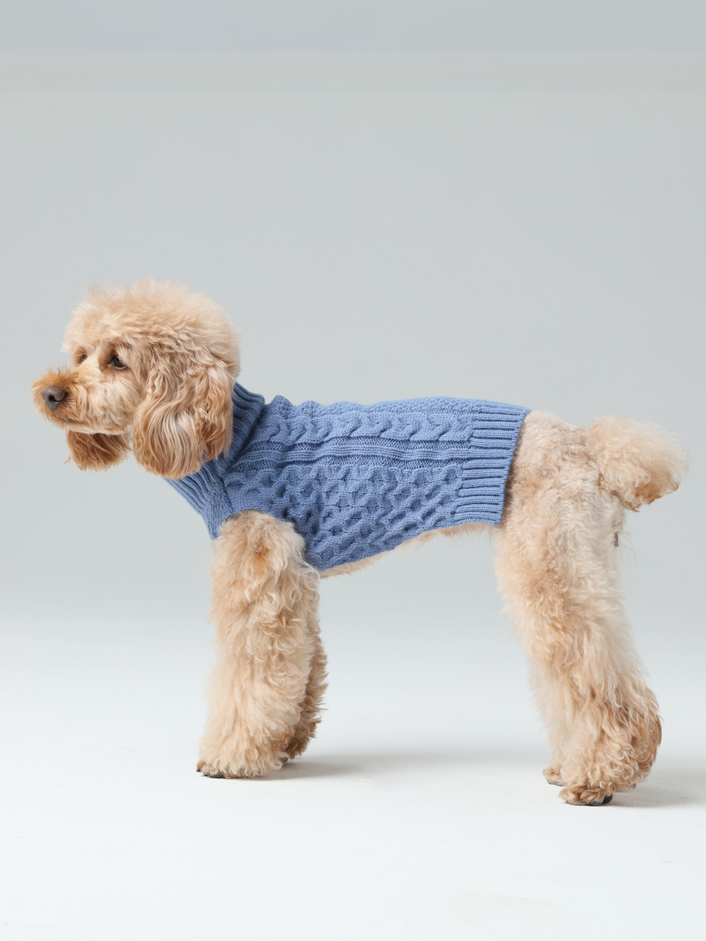 Gilet pour animaux de compagnie - Bleu glacier