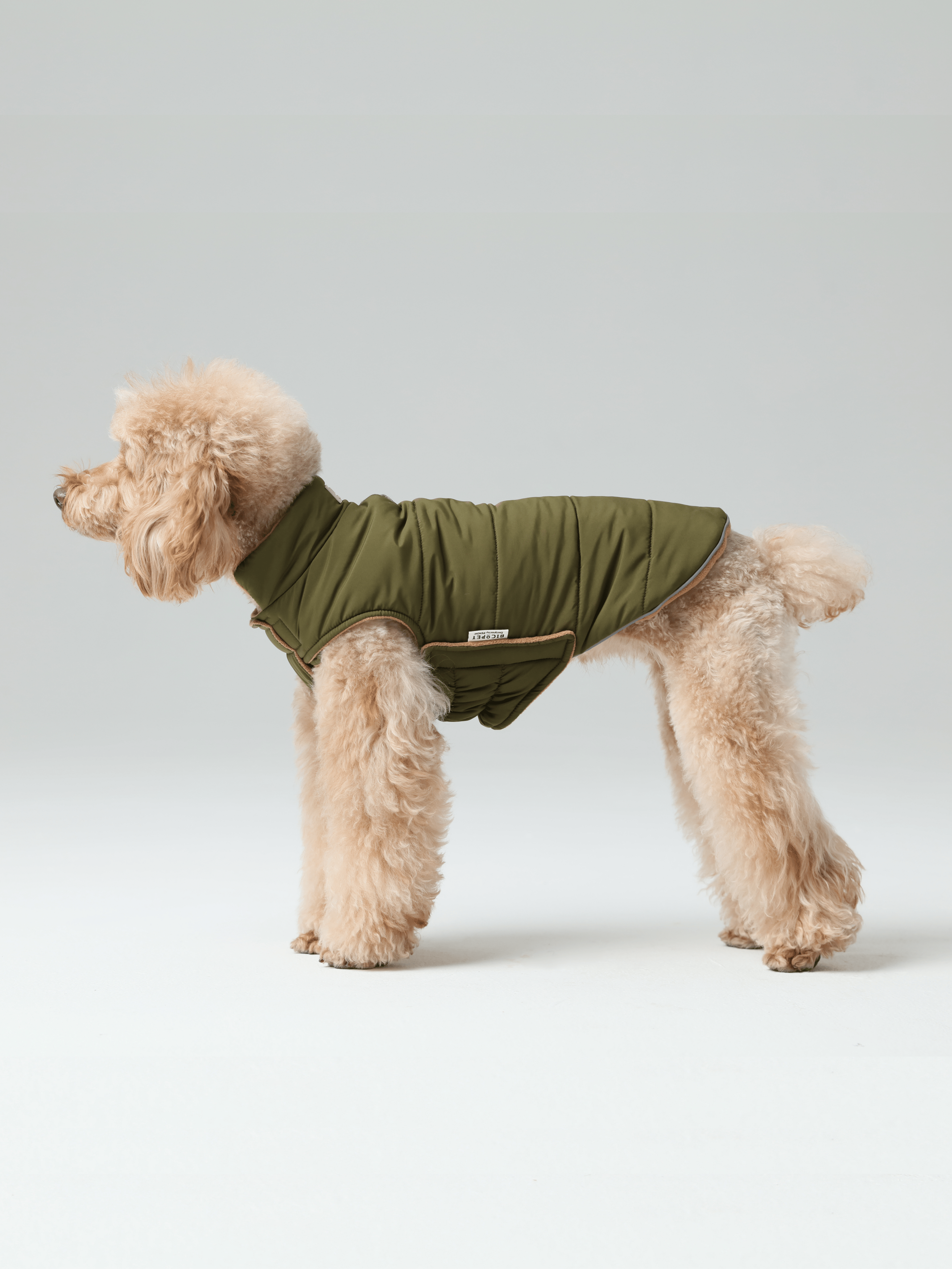 Gilet réversible pour chien - Vert marron