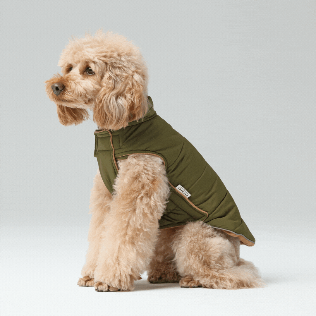 Gilet réversible pour chien - Vert marron
