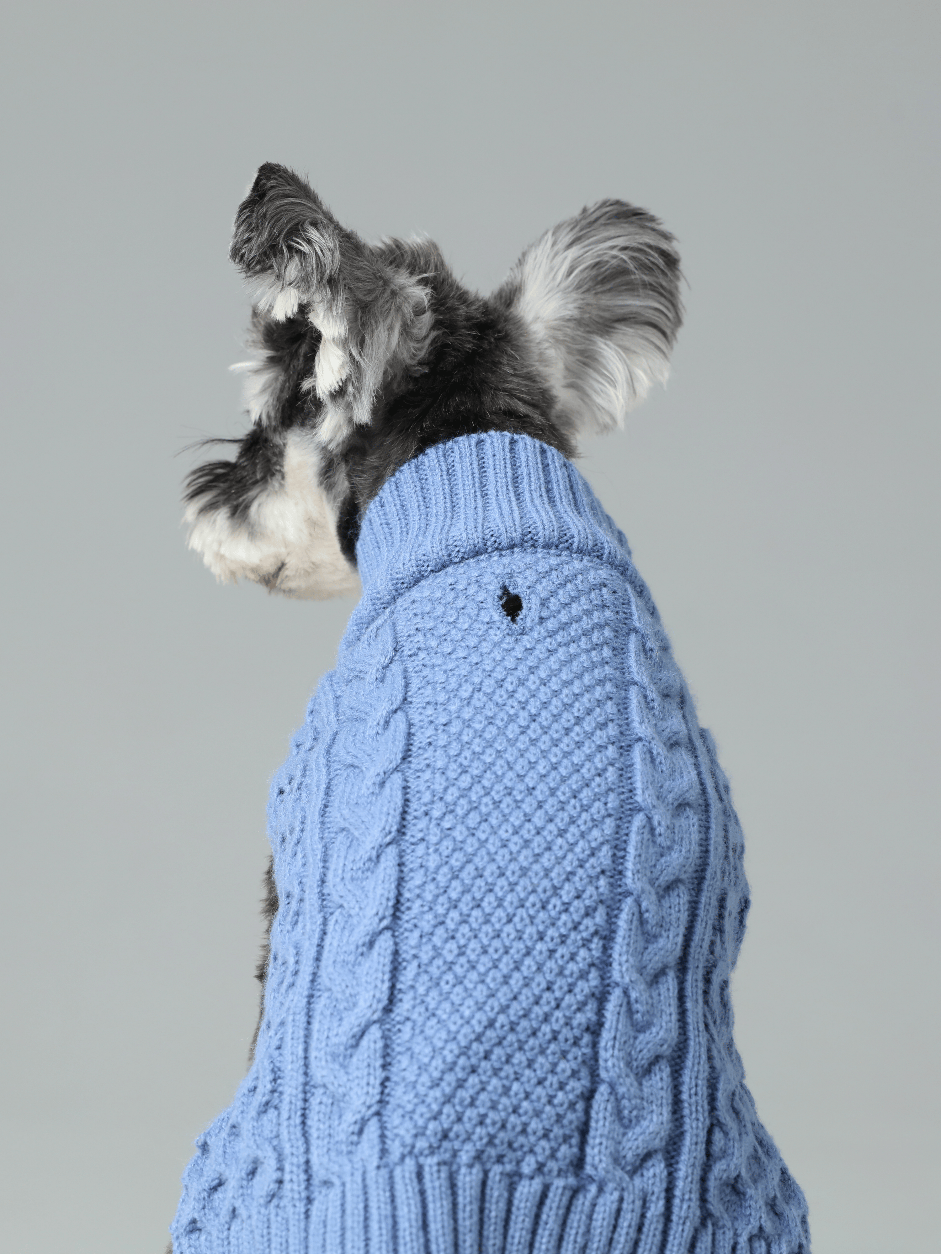 Gilet pour animaux de compagnie - Bleu glacier