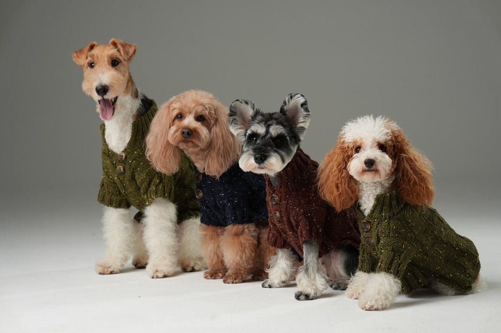 PULL POUR ANIMAL GLACIER - VERT OLIVE