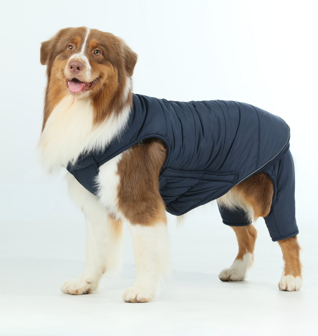 Gilet réversible pour chien - Bleu