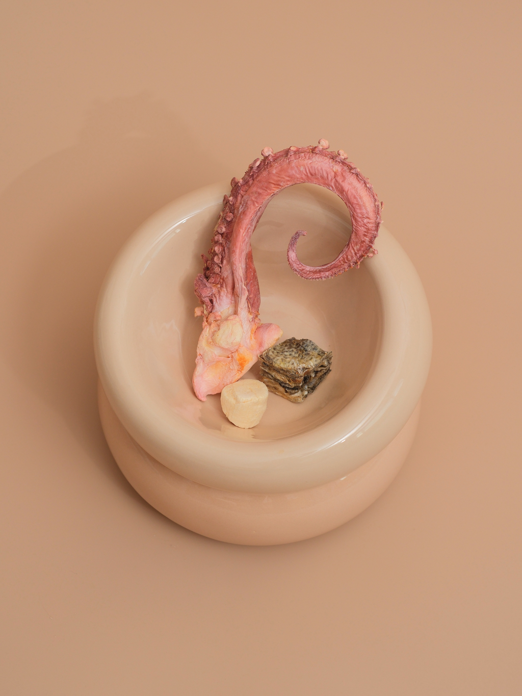 Gamelle Soufflé pour animaux de compagnie - Beige crème
