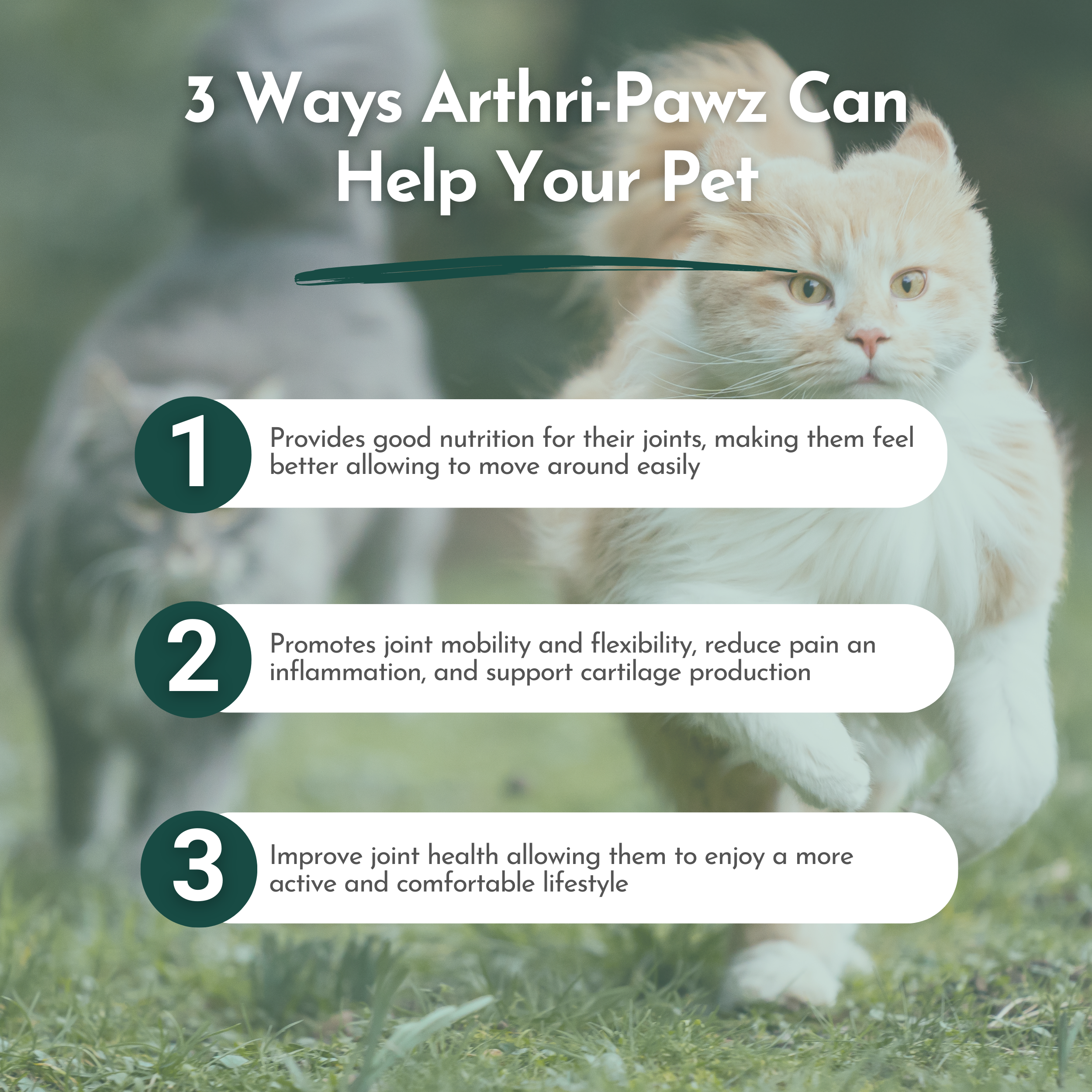 Arthri-Pawz – with Glucosamine for Cats and Dogs