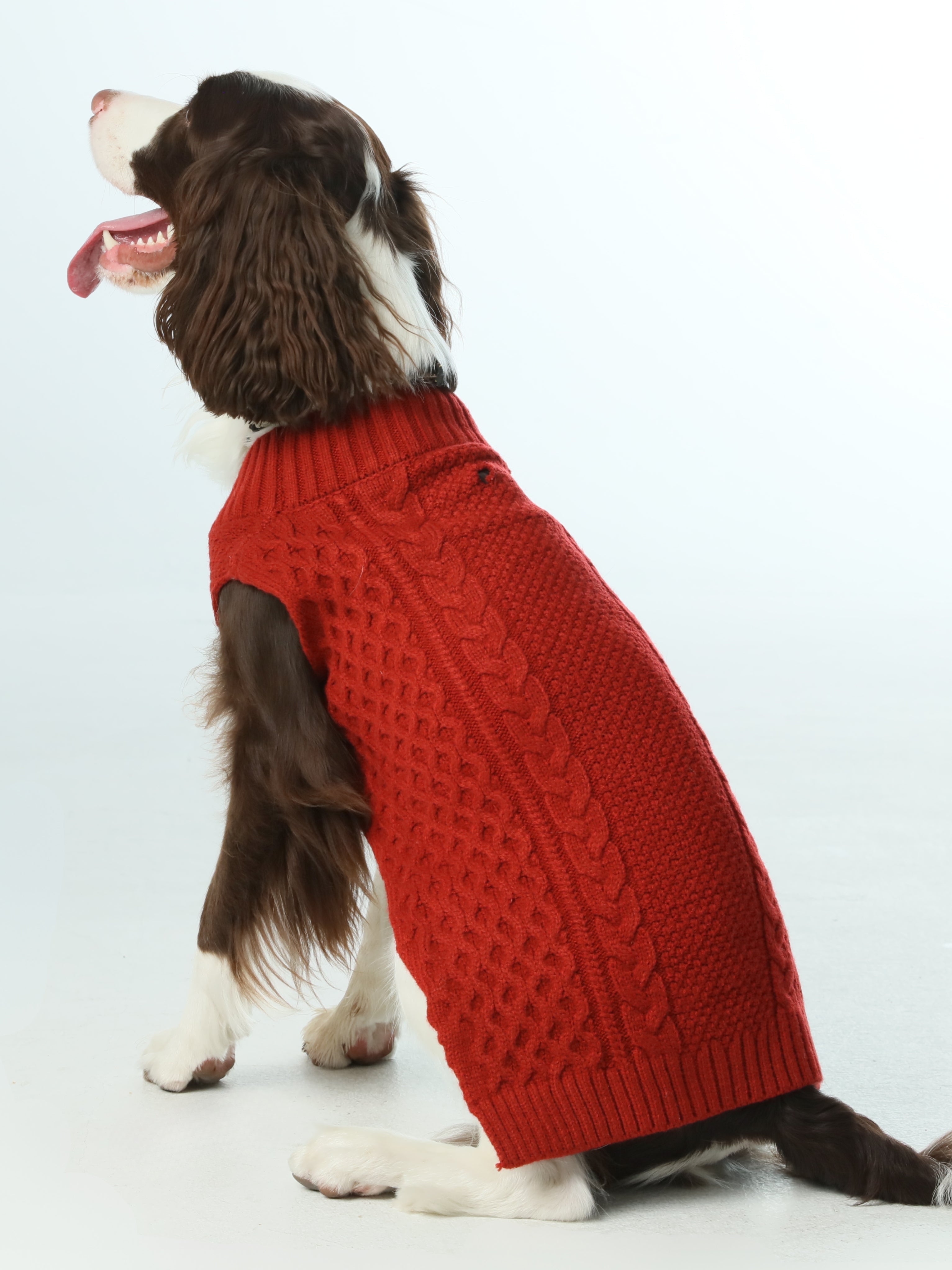Gilet de chandail pour animaux de compagnie - Rouge