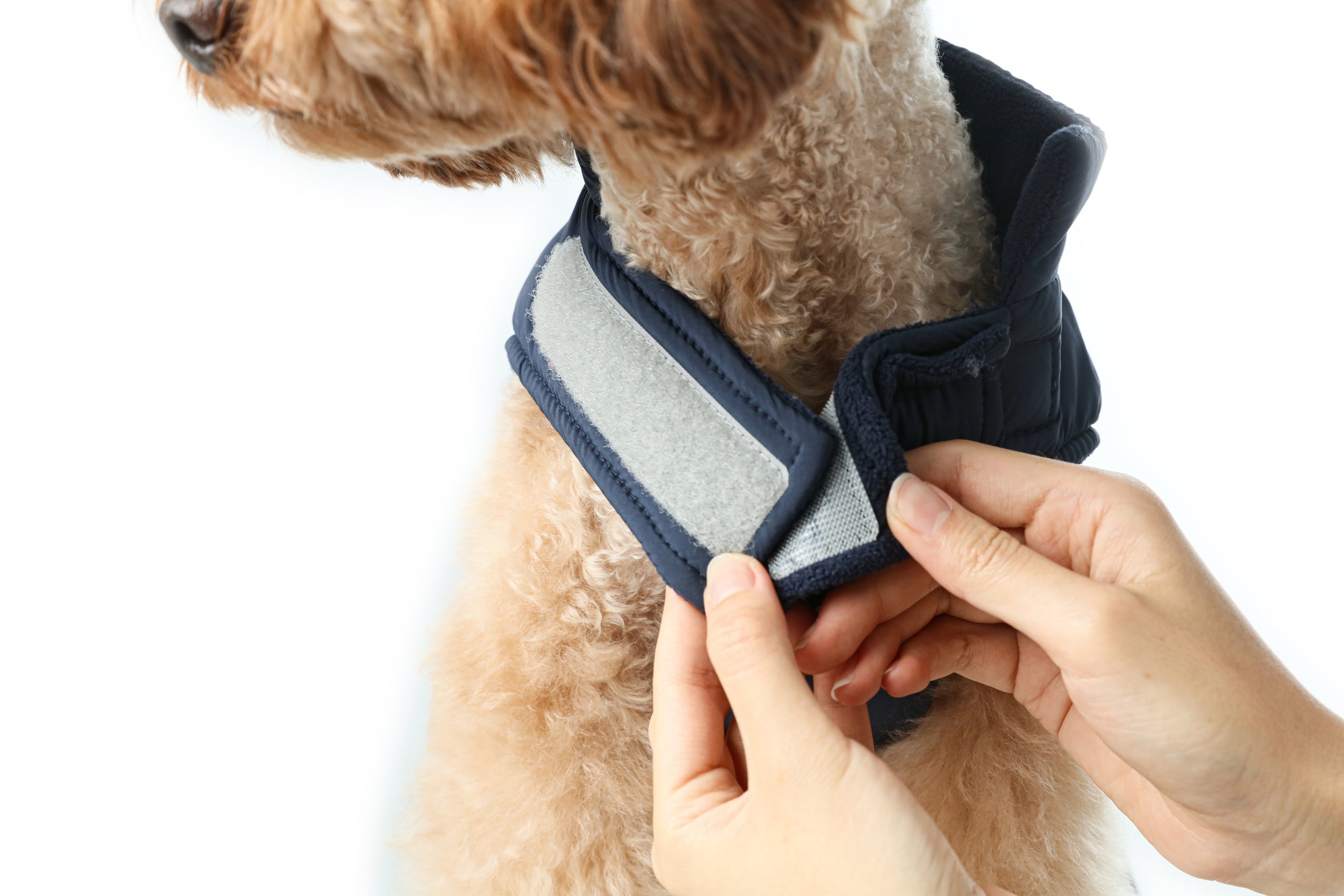 Gilet réversible pour chien - Bleu