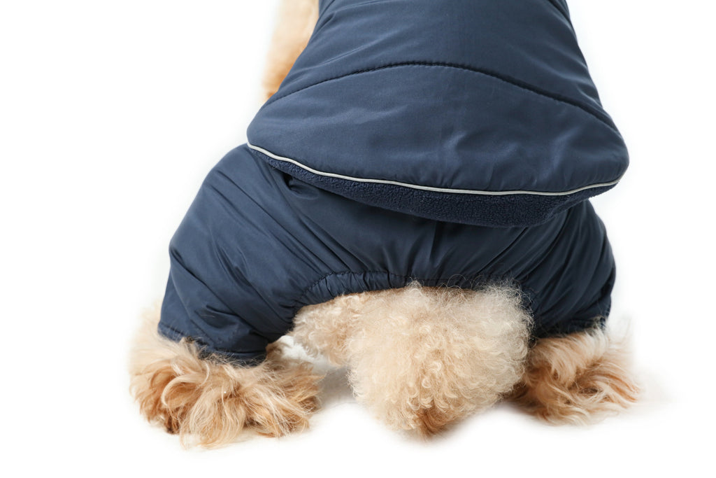 Gilet réversible pour chien - Bleu
