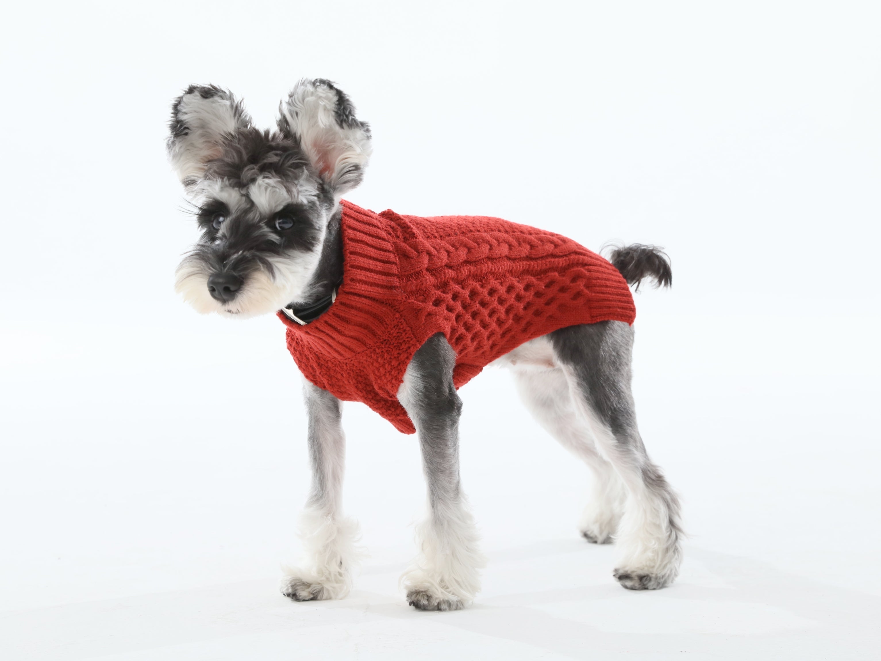 Gilet de chandail pour animaux de compagnie - Rouge