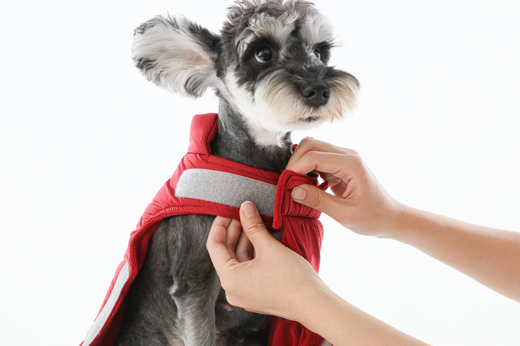 Gilet réversible pour chien - Rouge
