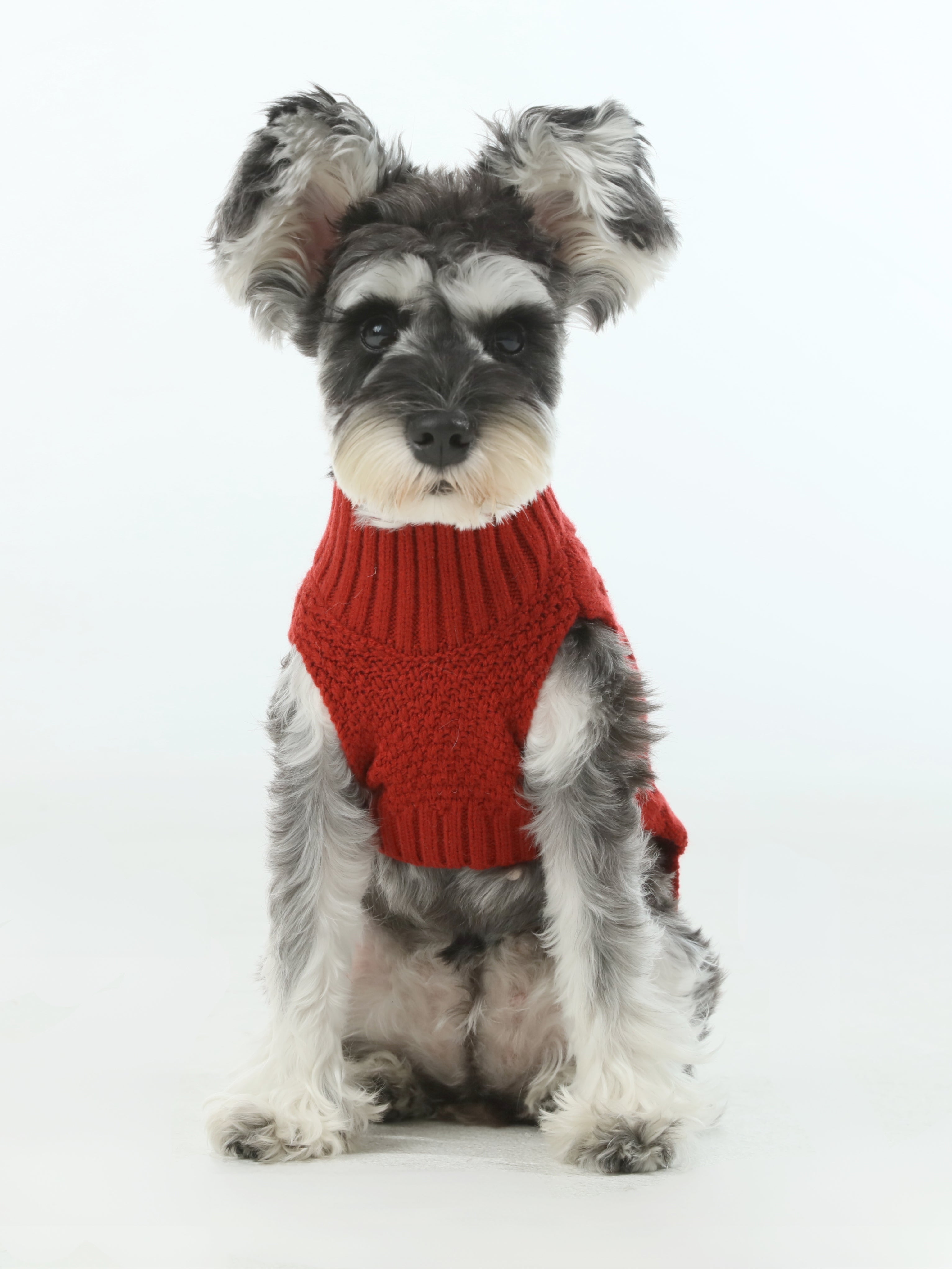 Gilet de chandail pour animaux de compagnie - Rouge