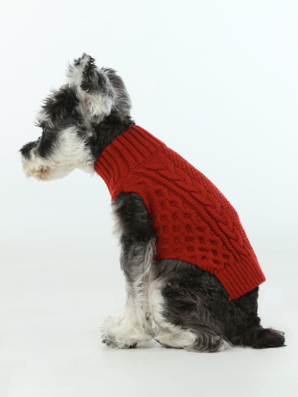 Gilet de chandail pour animaux de compagnie - Rouge