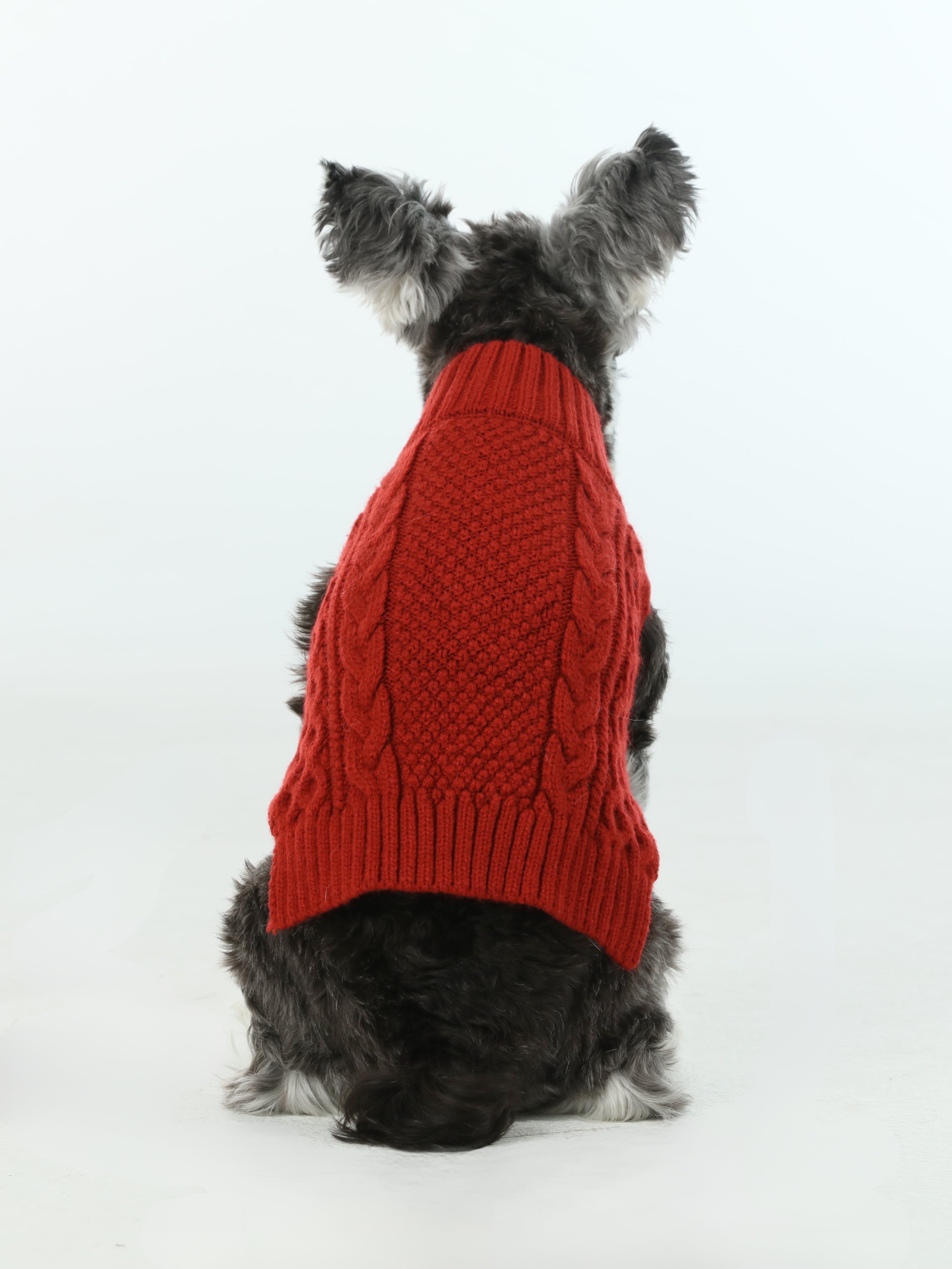 Gilet de chandail pour animaux de compagnie - Rouge