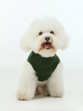 Gilet pull pour animaux de compagnie - Vert