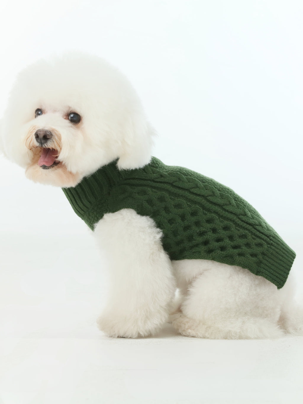 Gilet pull pour animaux de compagnie - Vert