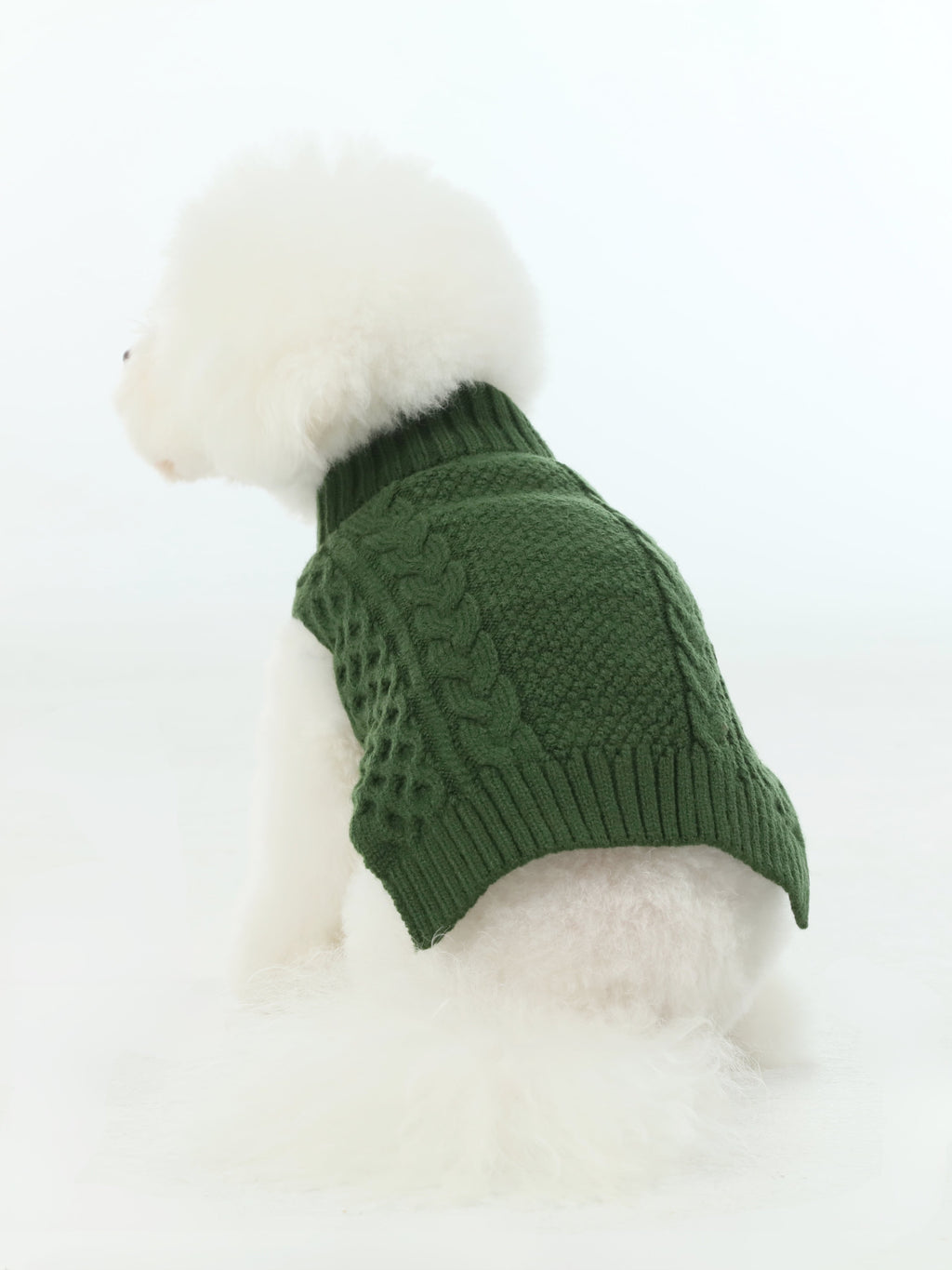 Gilet pull pour animaux de compagnie - Vert
