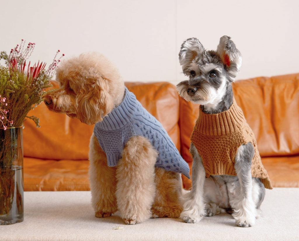 Gilet pour animaux de compagnie - Bleu glacier