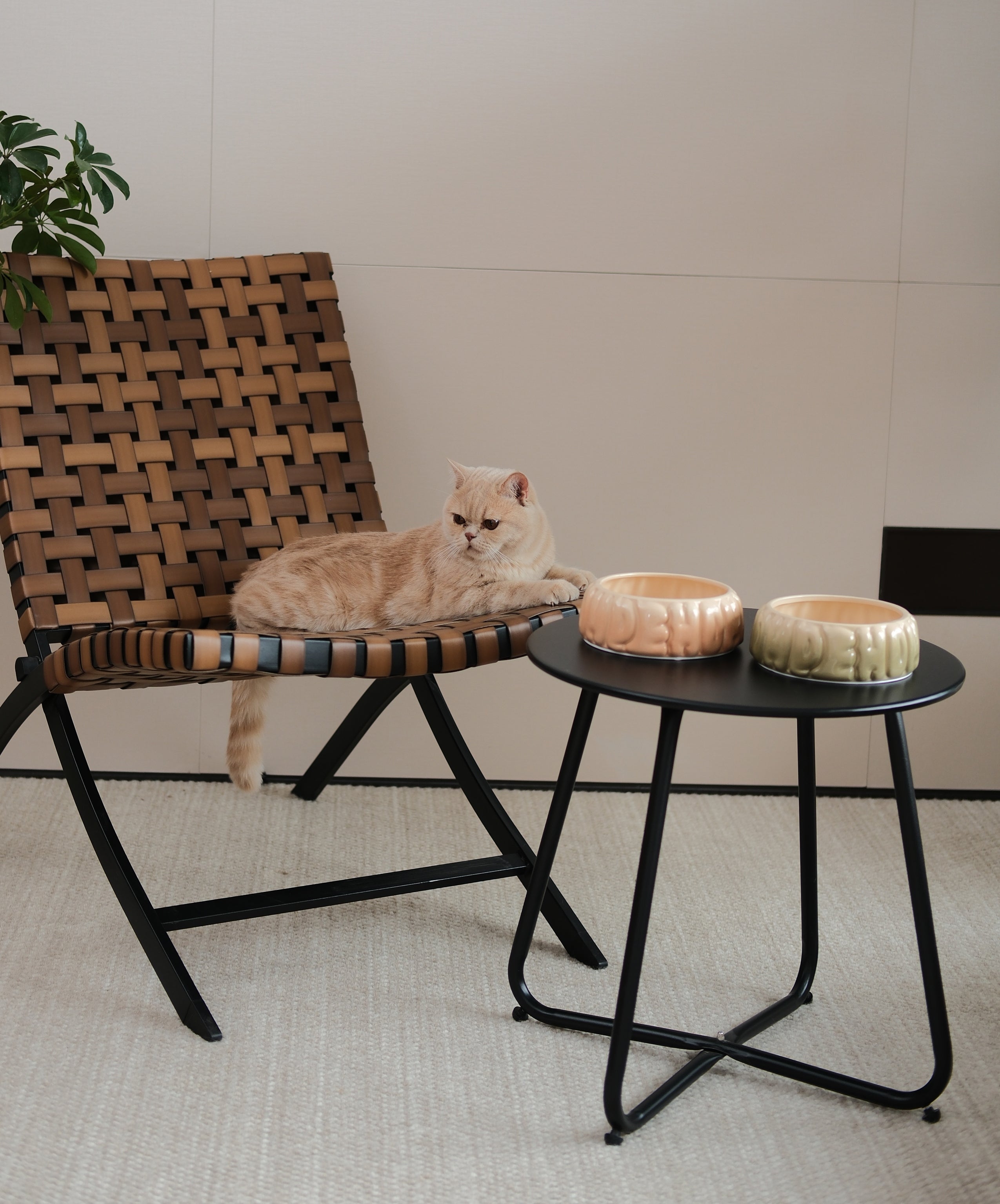 Bol pour animaux Puff - Caramel dégradé