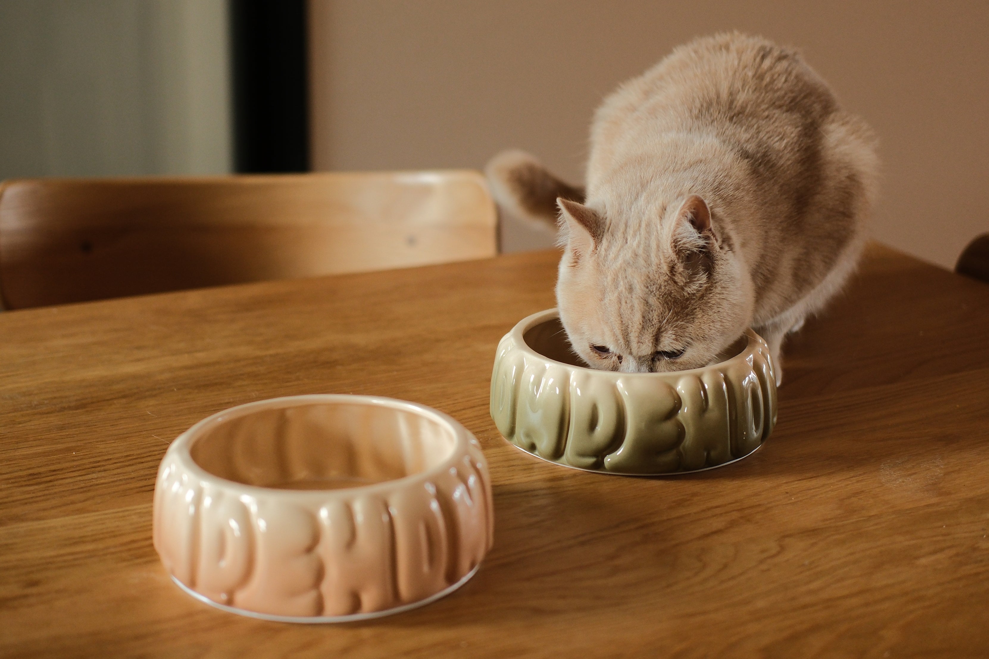 Bol pour animaux Puff - Caramel dégradé