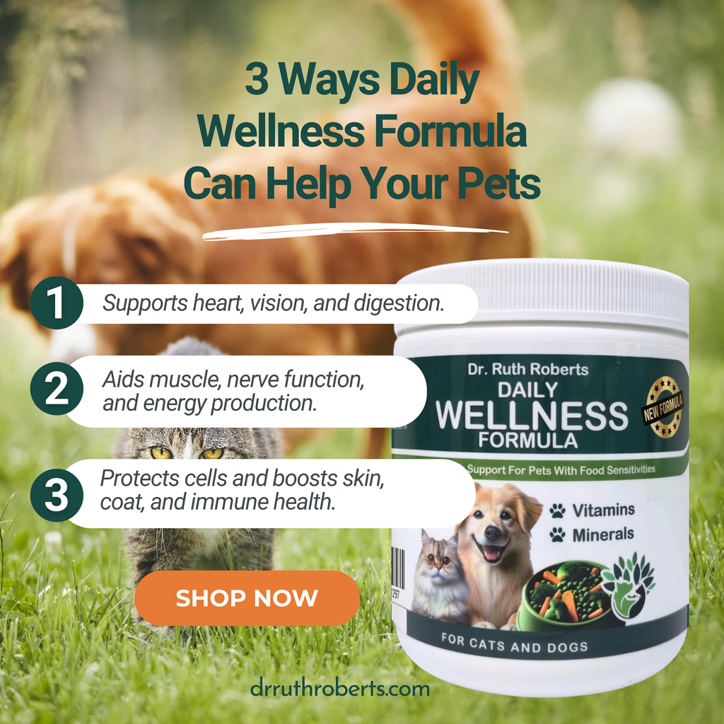 Formule Quotidienne de Bien-être pour Animaux de Compagnie - Pour Animaux Souffrant d'Allergie au Porc/Bœuf