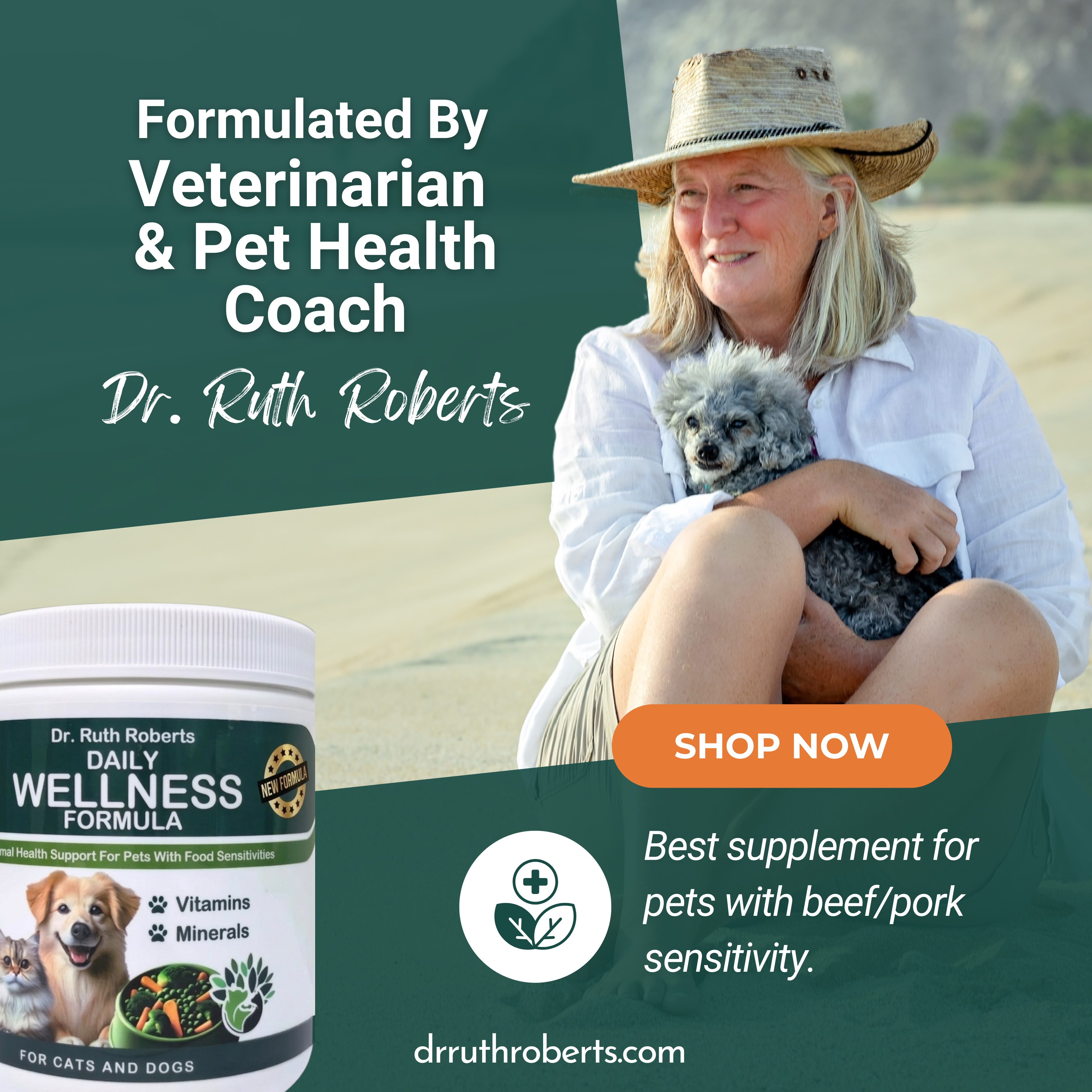 Formule Quotidienne de Bien-être pour Animaux de Compagnie - Pour Animaux Souffrant d'Allergie au Porc/Bœuf