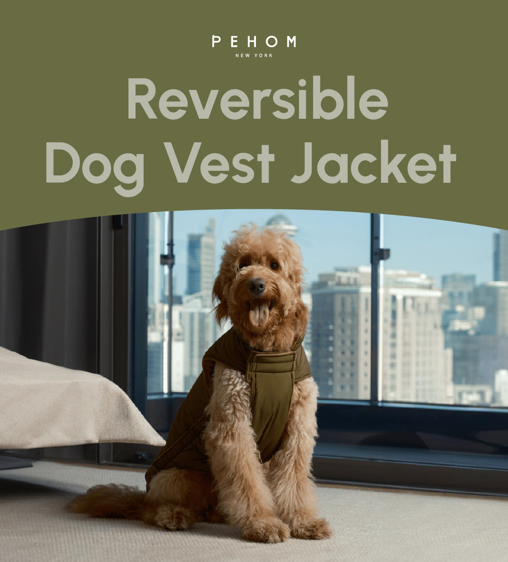 Gilet réversible pour chien - Vert marron