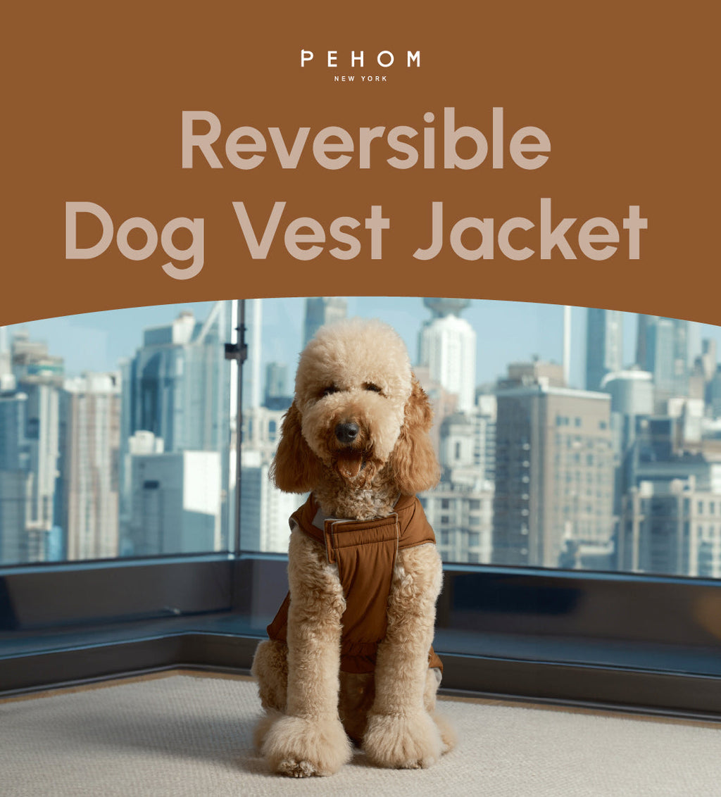 Gilet réversible pour chien - Orange Gris