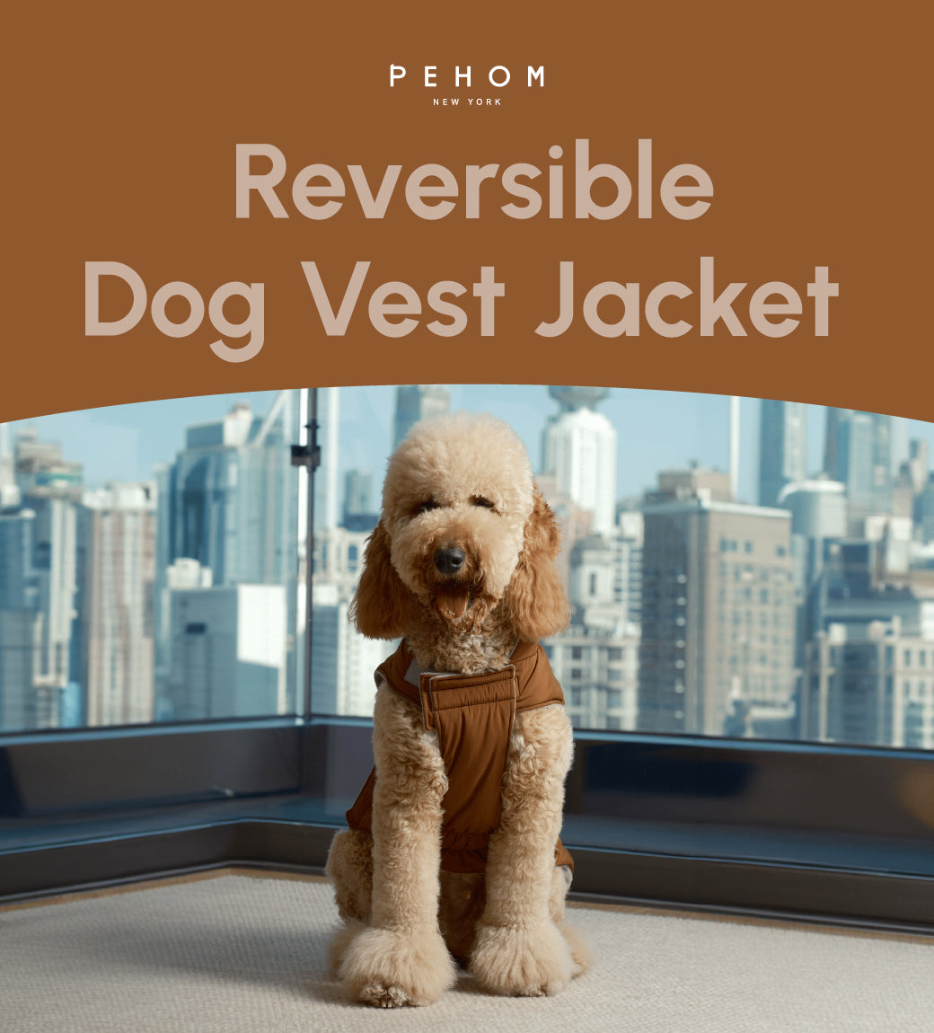 Gilet réversible pour chien - Orange Gris