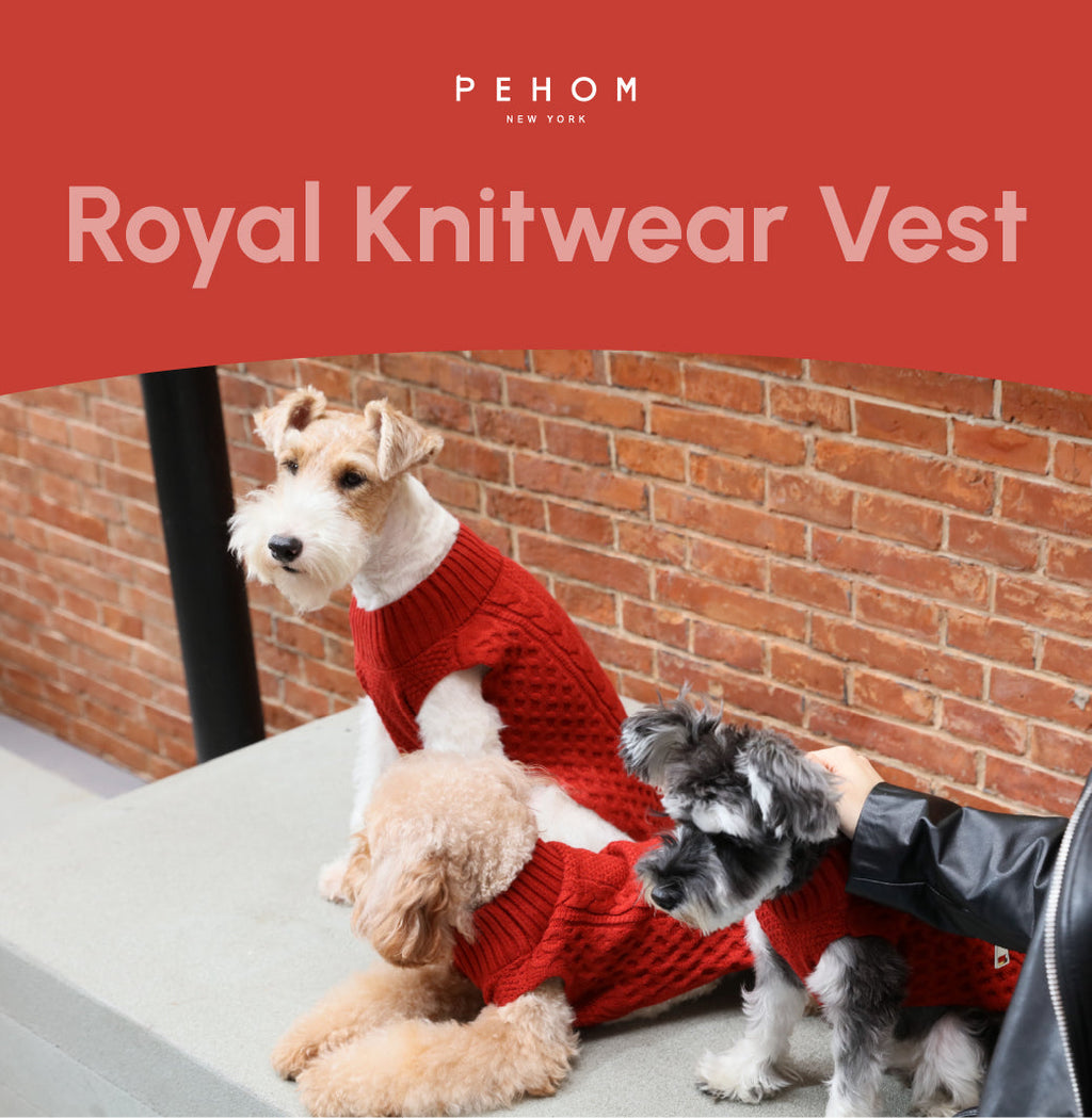 Gilet de chandail pour animaux de compagnie - Rouge