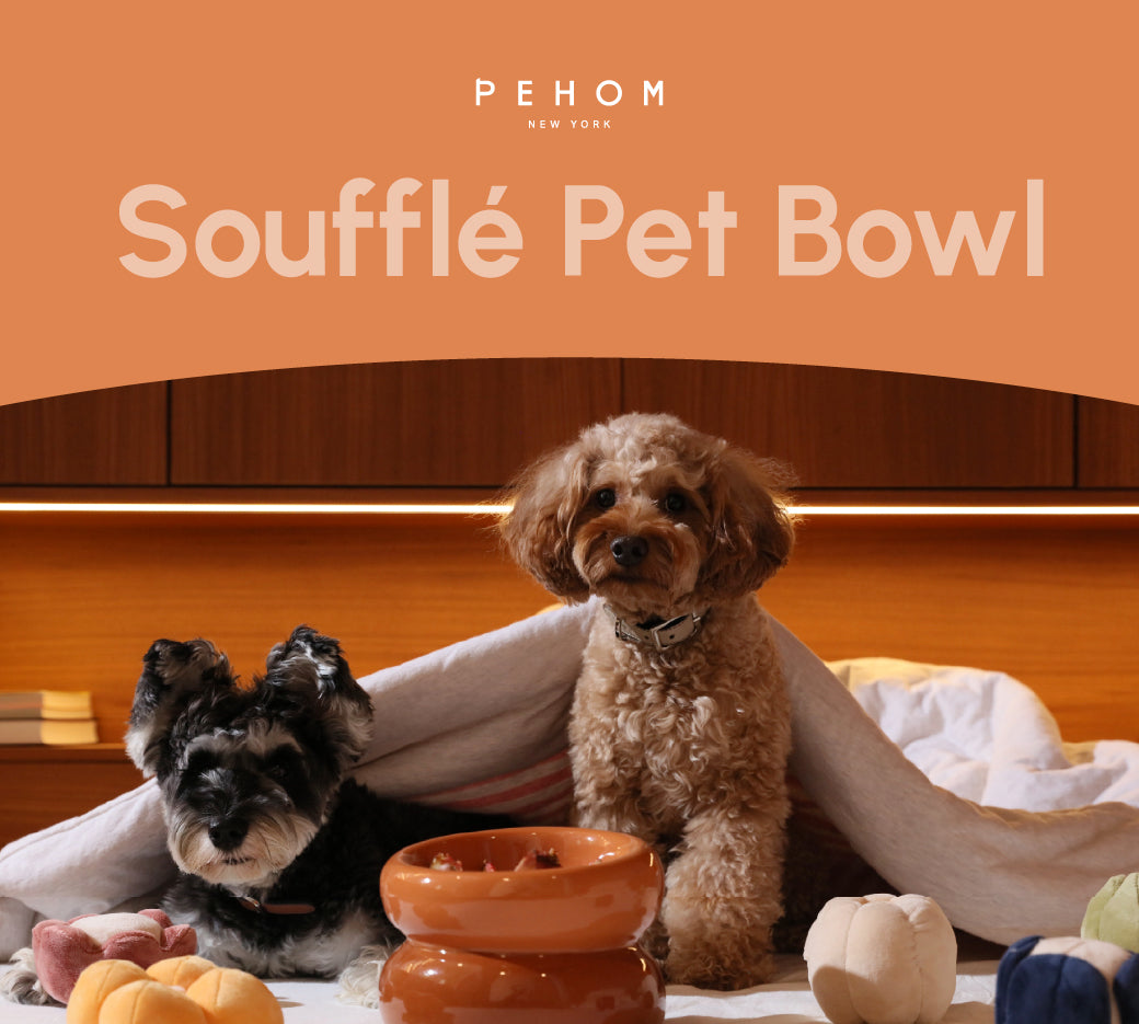 Gamelle Soufflé pour animaux de compagnie - Orange ambré