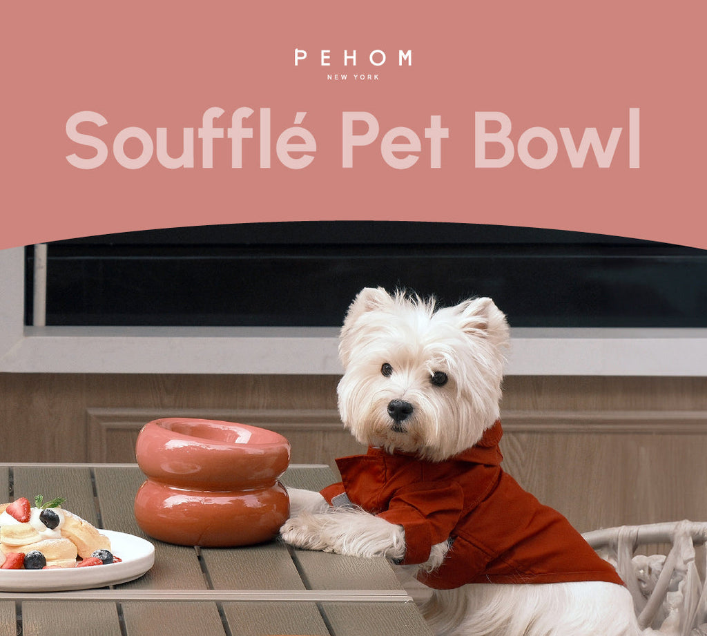Gamelle Soufflé pour animaux de compagnie - Rose poudré