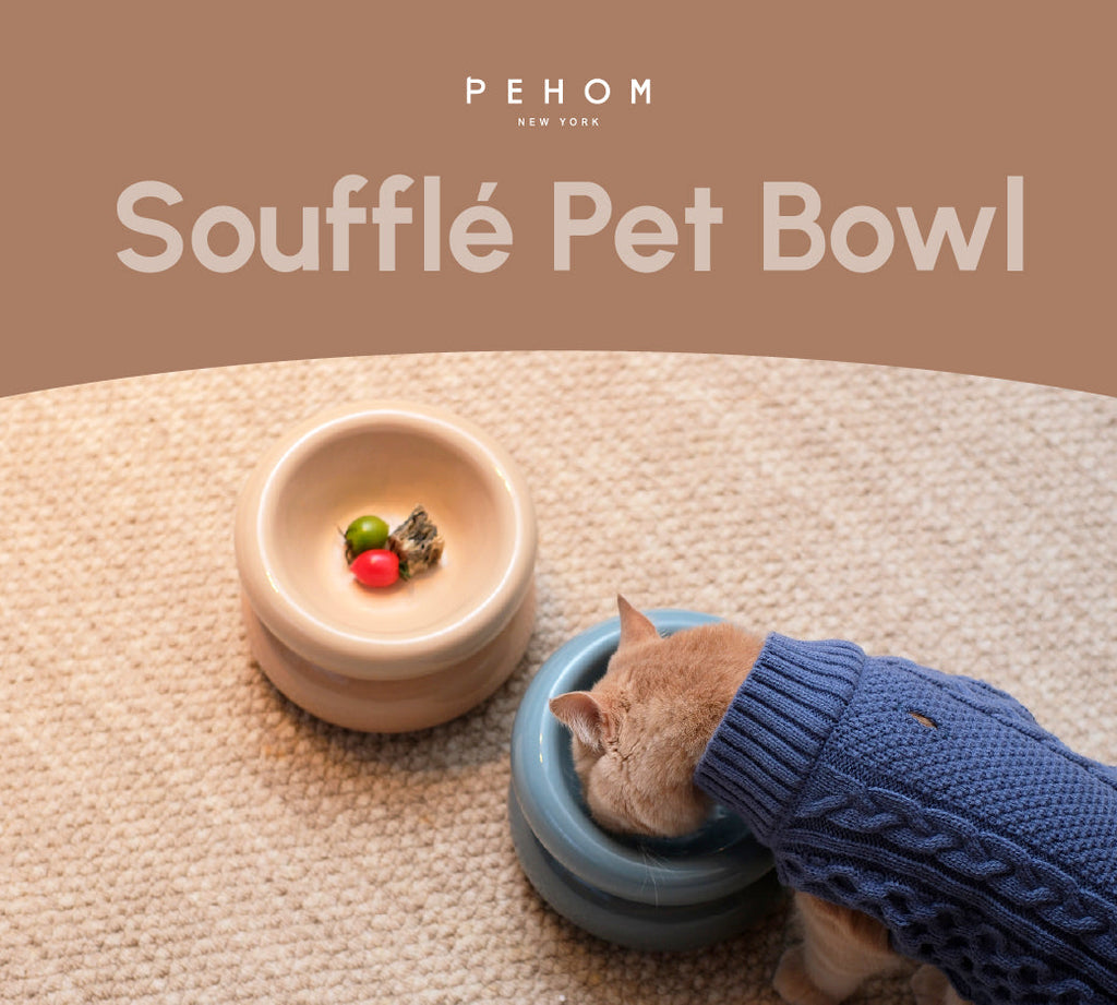 Gamelle Soufflé pour animaux de compagnie - Beige crème