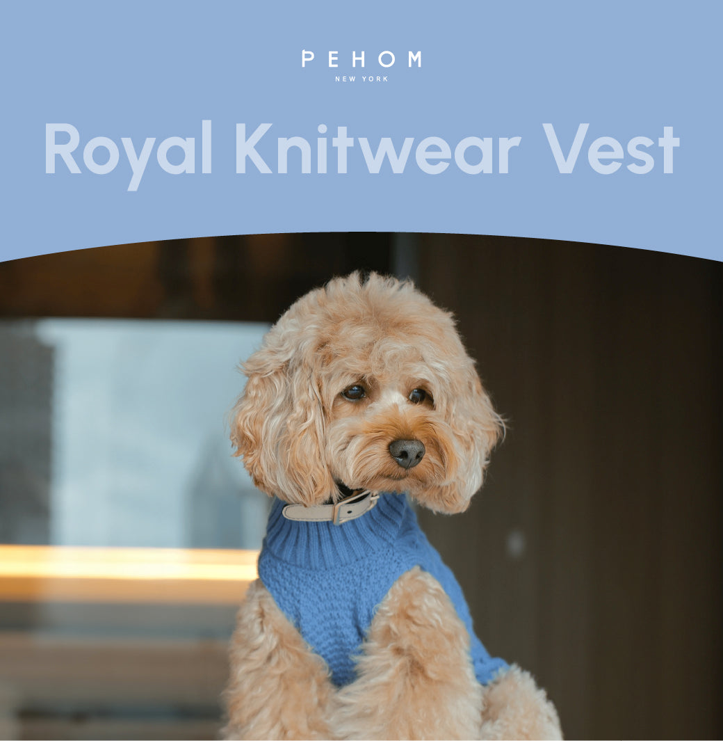 Gilet pour animaux de compagnie - Bleu glacier