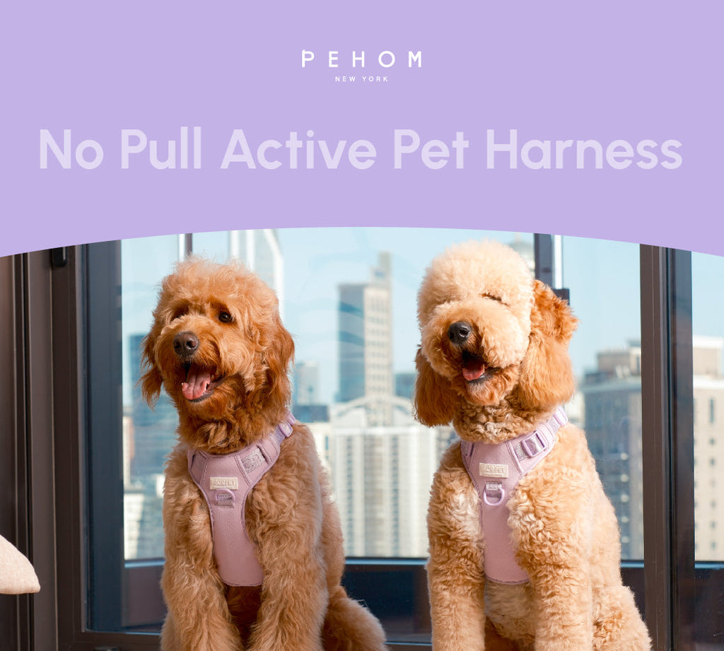 HARNAIS POUR ANIMAUX DE COMPAGNIE ANTI-TRACTION - VIOLET MENTHE