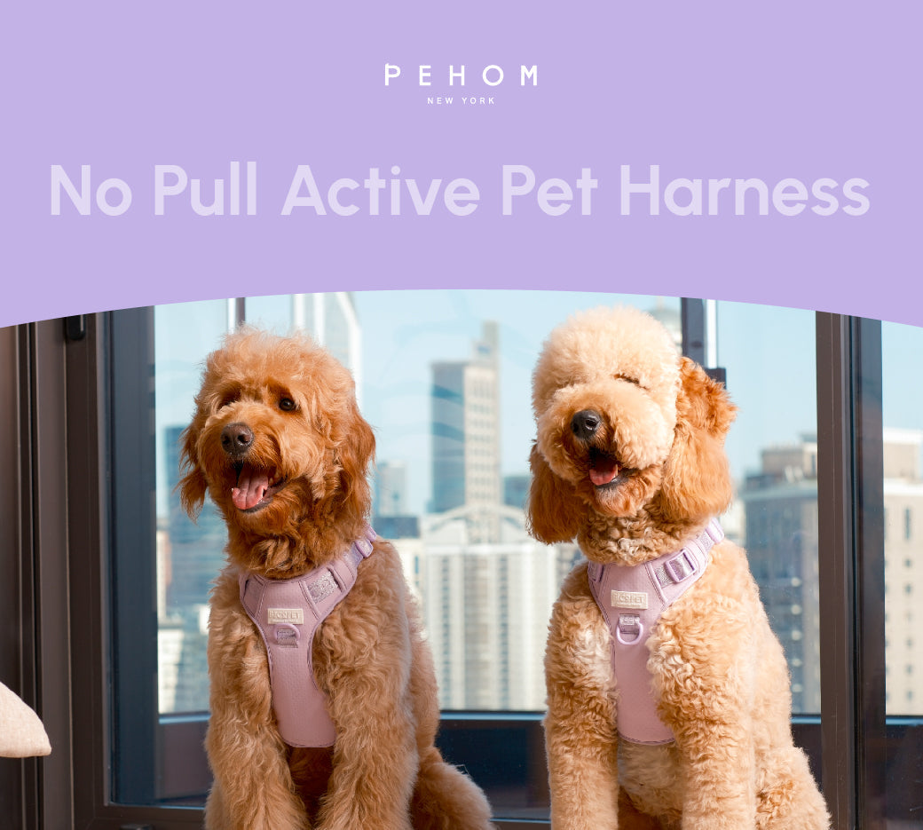HARNAIS POUR ANIMAUX DE COMPAGNIE ANTI-TRACTION - VIOLET MENTHE