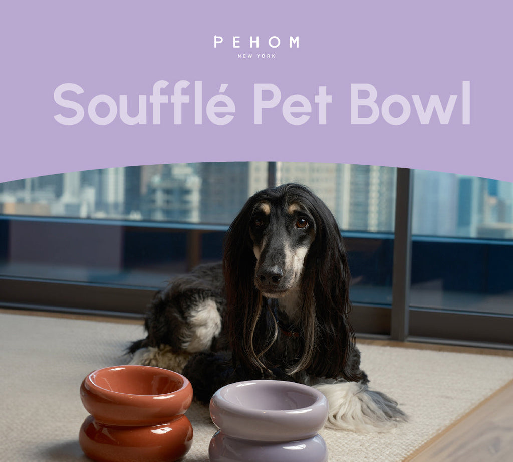 Gamelle Soufflée pour Animaux de Compagnie - Violette