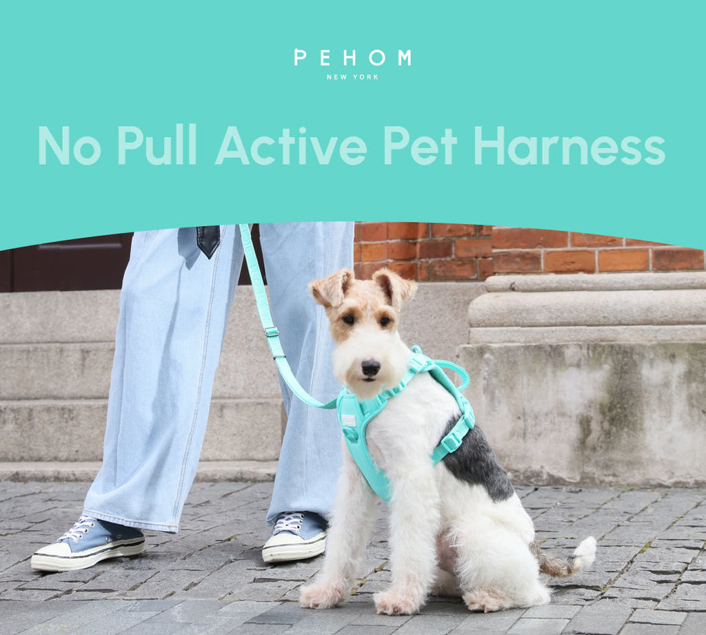 HARNAIS POUR ANIMAUX ANTI-TRACTION - VERT MENTHE