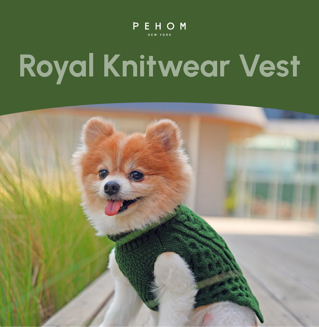 Gilet pull pour animaux de compagnie - Vert