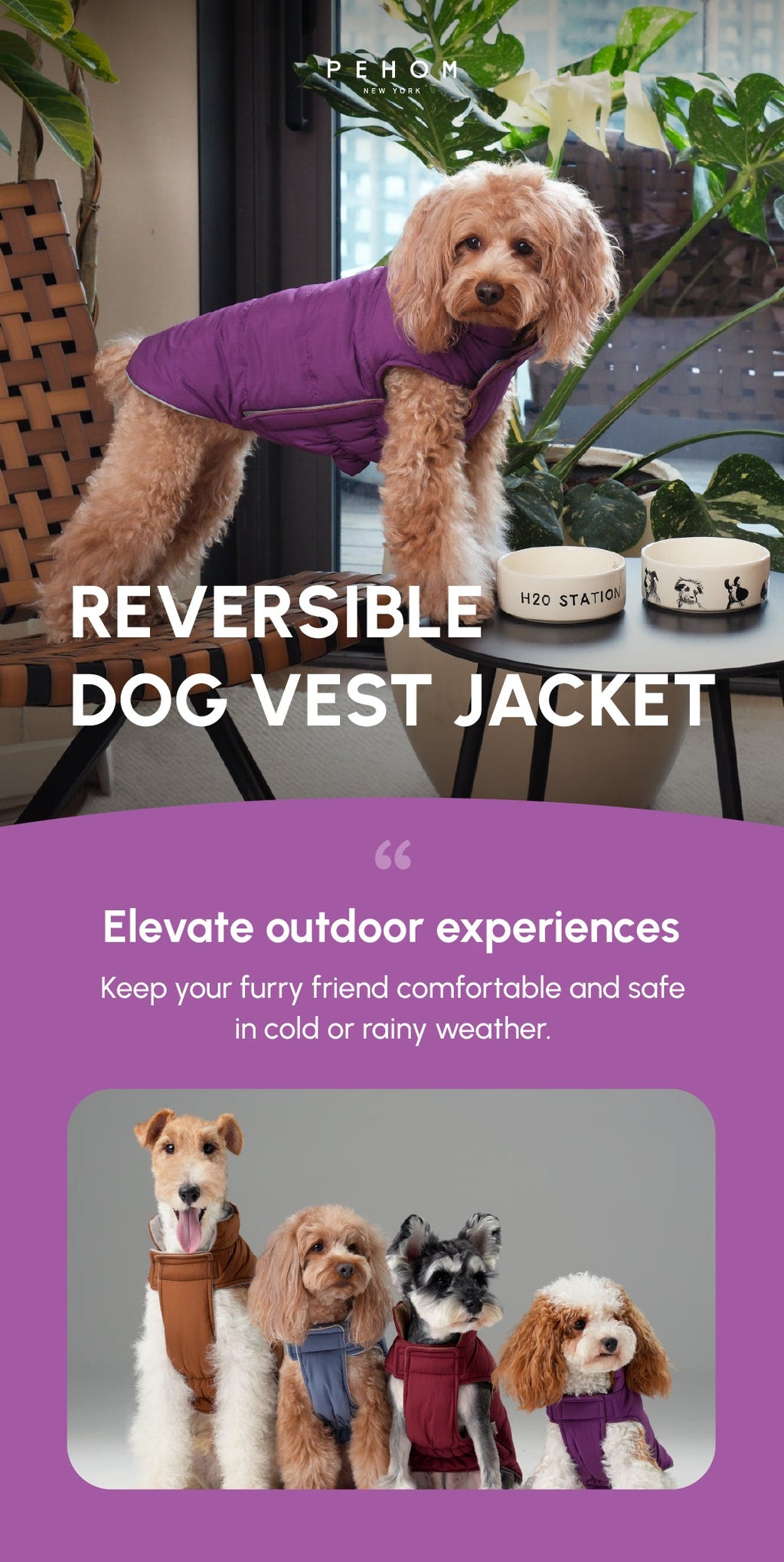 Gilet réversible pour chien - Violet Caramel