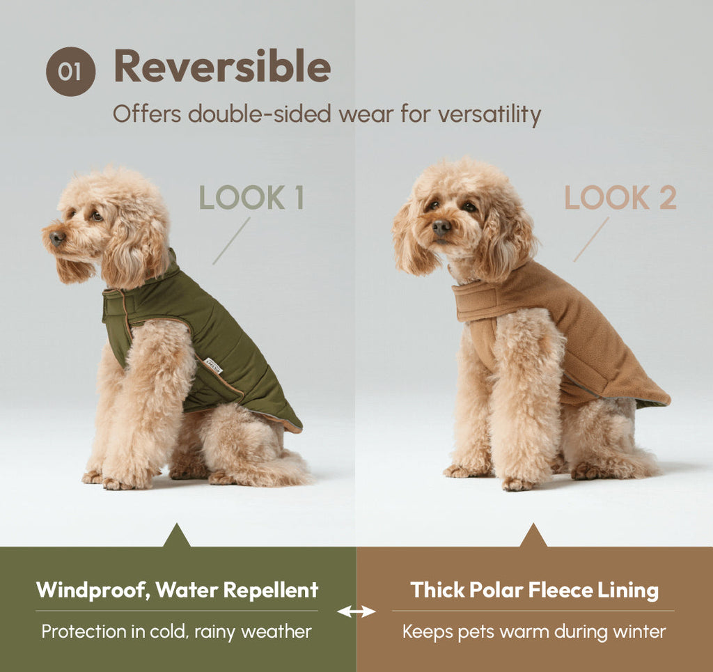 Gilet réversible pour chien - Vert marron