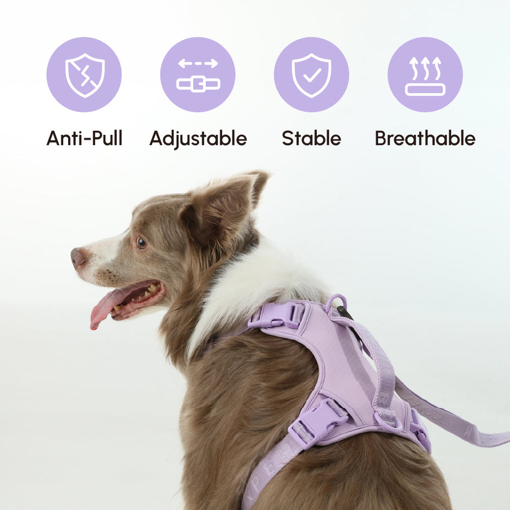 HARNAIS POUR ANIMAUX DE COMPAGNIE ANTI-TRACTION - VIOLET MENTHE