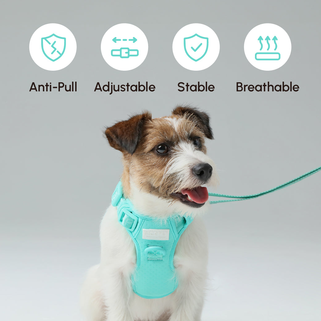 HARNAIS POUR ANIMAUX ANTI-TRACTION - VERT MENTHE